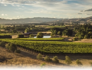 Greystone winery